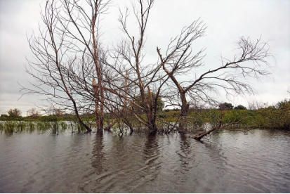 Excursii Litoralul Romanesc Ruta Albastra Excursie O Zi In Delta