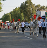 Parada Circului Medrano, Mamaia