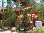 Foto  Dona Mamaia