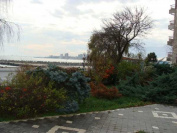 Foto Hotel Silvia Venus