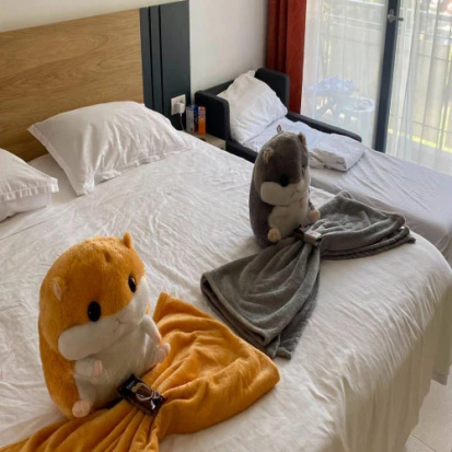 Foto Hotel Recif Neptun-Olimp