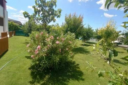 Foto Guest house Pestele ca odinioara Murighiol