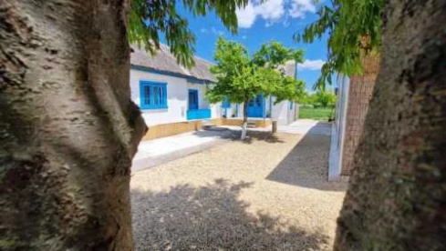 Foto Camere Casa Olivia Tulcea