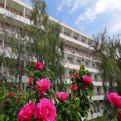 Foto Hotel Mures Saturn