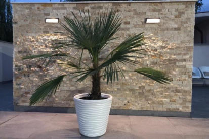 Foto Villa Navona - Locatie noua, deschisa in 2019 Saturn