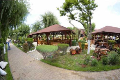 Foto Hotel Poienita Costinesti