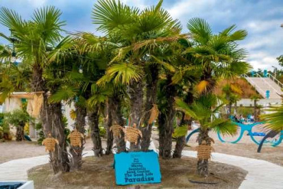 Foto Hotel Novum by the Sea Neptun-Olimp