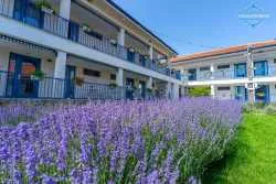 rooms The Old Border Vama Veche 2 Mai