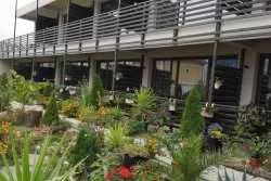 rooms Dream Resort Mamaia Nord