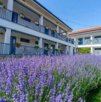 camere The Old Border Vama Veche 2 Mai