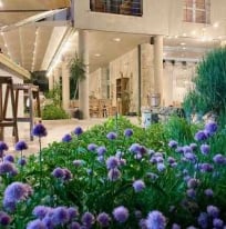 hotel Carmen Eforie Nord