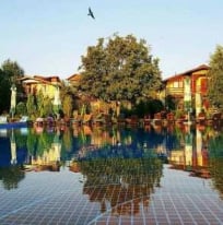 camere Club D or Vama Veche 2 Mai