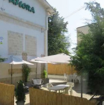  Paflora Saturn