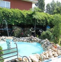 hotel Alex Costinesti