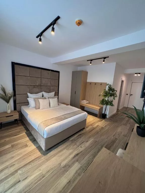 Deluxe studio with sea view