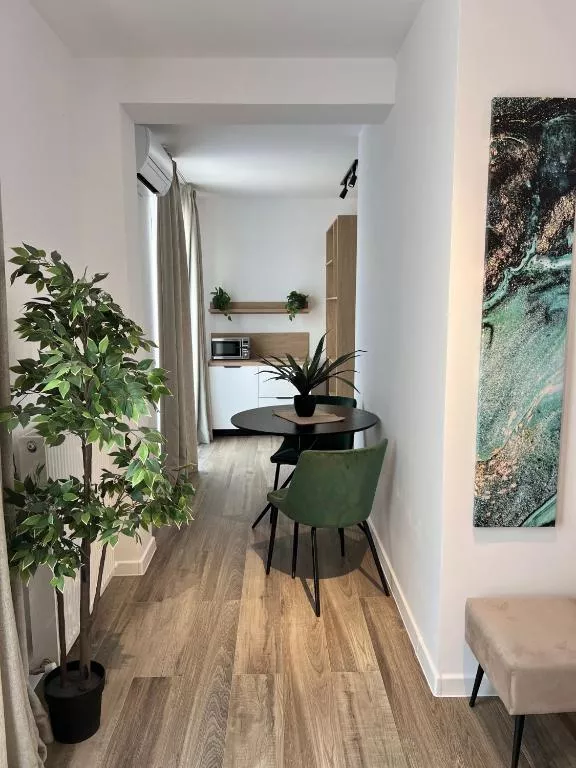 Superior studio at the last floor — 4